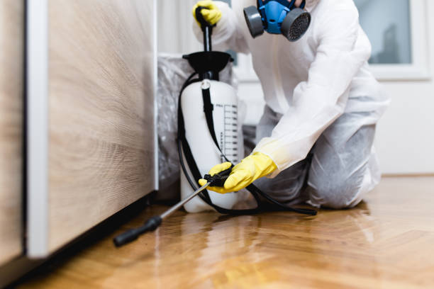 Pest Control for Restaurants in Trophy Clu, TX