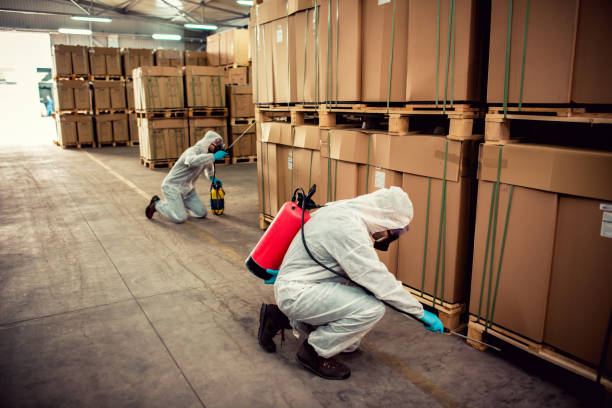 Best Bed Bug Extermination  in Trophy Clu, TX