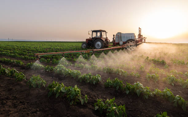 Insect Control in Trophy Clu, TX