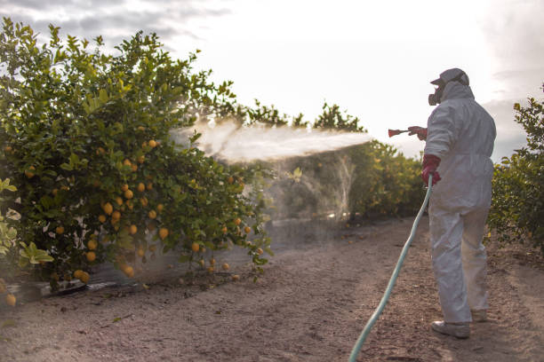 Reliable Trophy Clu, TX Pest Control Solutions