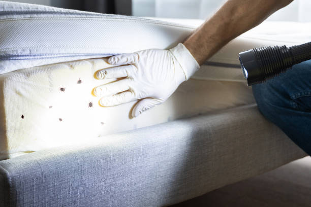 Best Commercial Pest Control Services  in Trophy Clu, TX