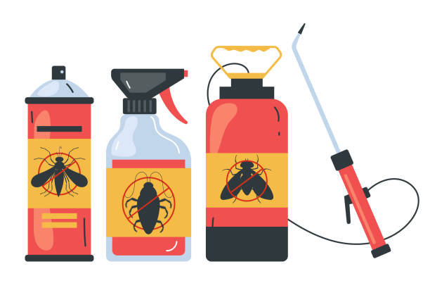 Best Bed Bug Extermination  in Trophy Clu, TX
