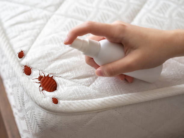Best Exterminator Services  in Trophy Clu, TX