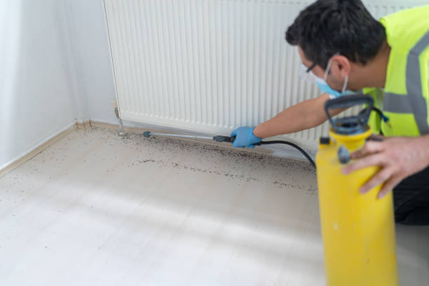 Best Termite Control Services  in Trophy Clu, TX